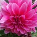 一起走过，是缘份