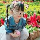 朱姐