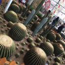 姐ヽ一个没有气质的女人