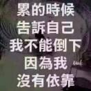 阳光下的俊哥