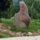 人生何求