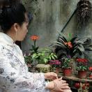 小林