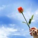 太原市小店区常青藤幼儿园