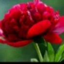 【    牵一缕阳光】