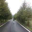 @ ﹏ゞ記憶︶ㄣ