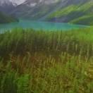 阳光总在风雨后