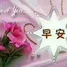 似水年华