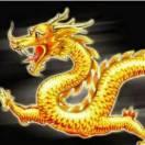 陳凌小龍