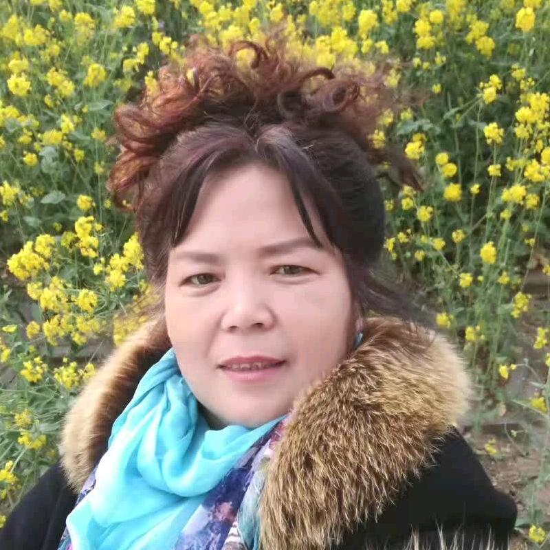 Djz心静如水