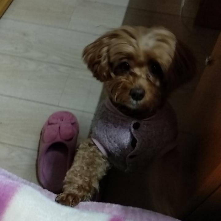 桑妮