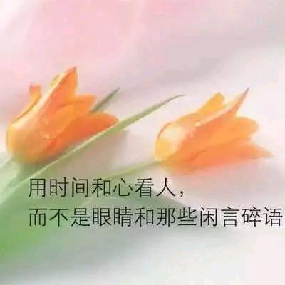 紫罗兰