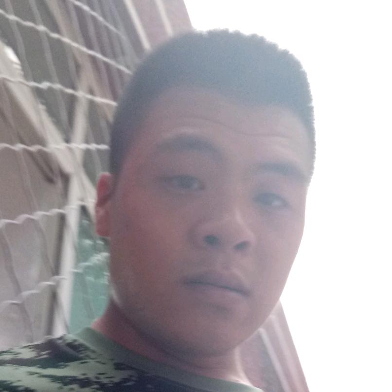 临风不自傲