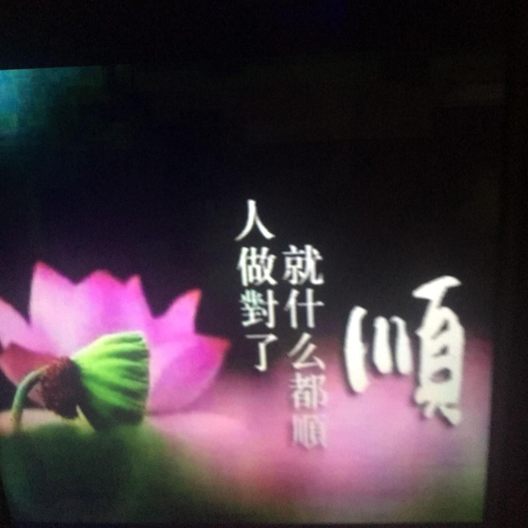 安静3506