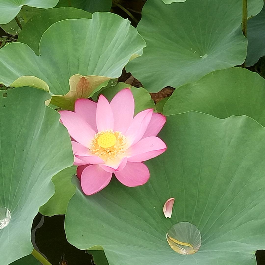 霓虹炫丽