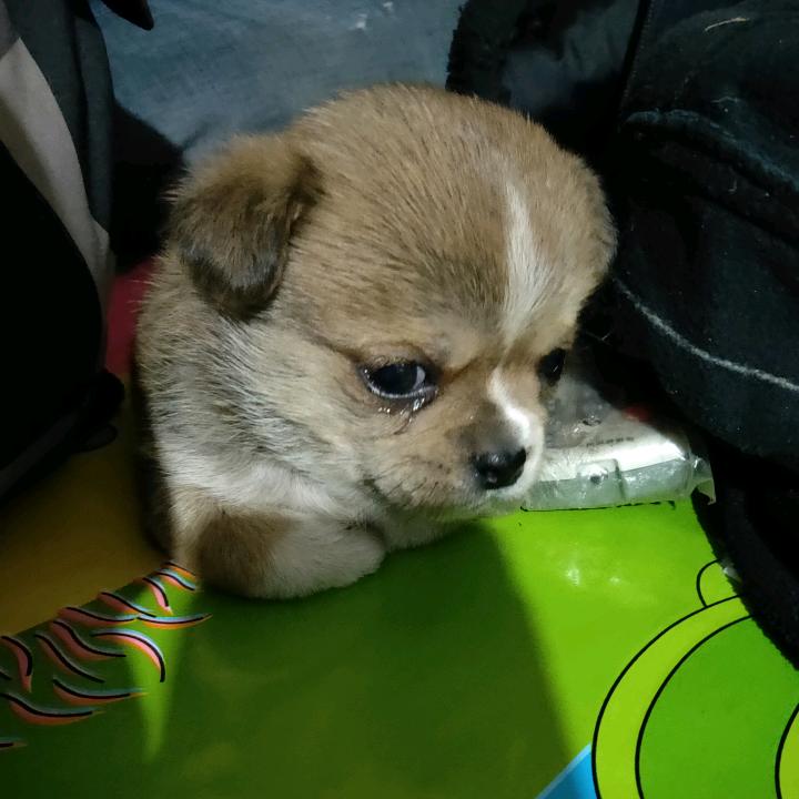 闫大伟