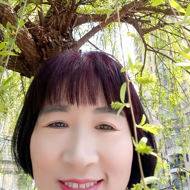 小陈沉默是金子