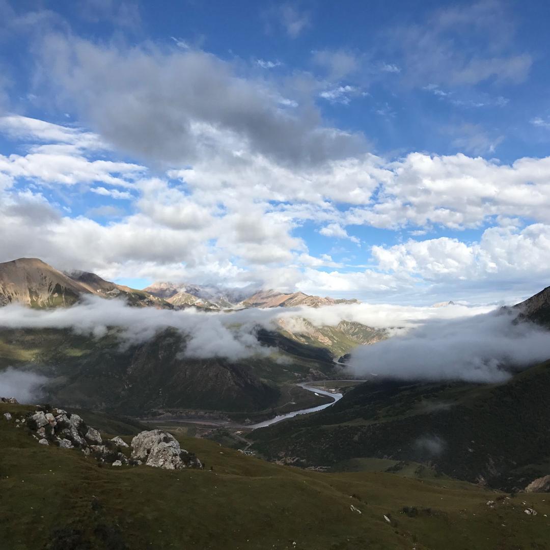 禄禄无为🇵🇸