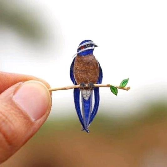 喂喂喂喂喂你拨打电话无法接通