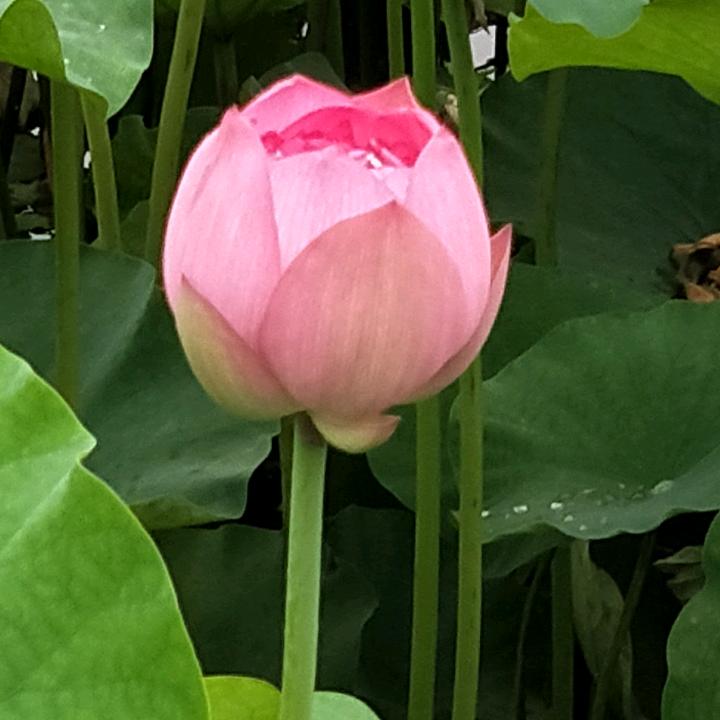 浅笑-橱窗好物，拒私聊