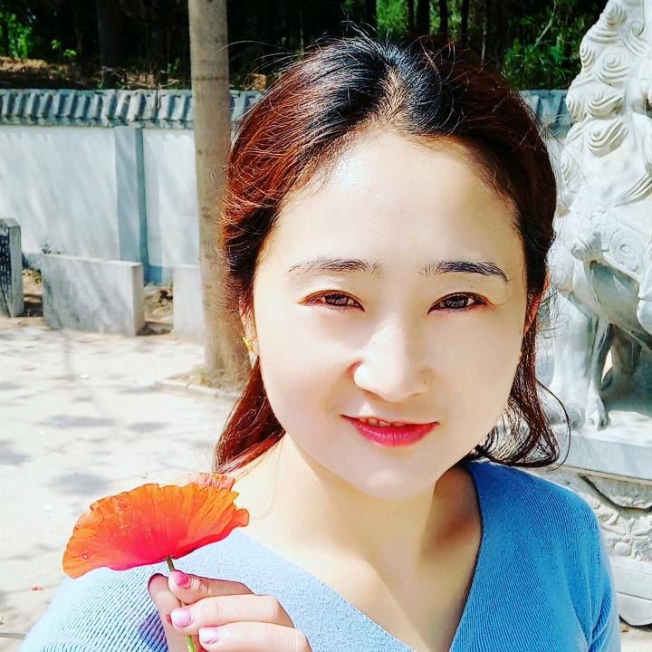 高小懒猪