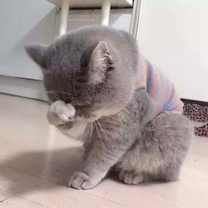 留不住沙～不如扬了它