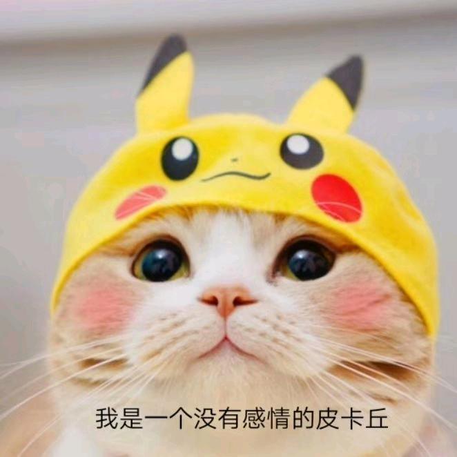 刘个关注