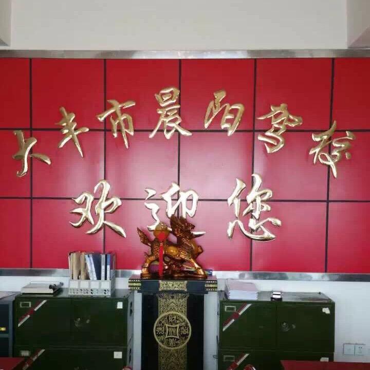 宋教练   晨阳驾校
