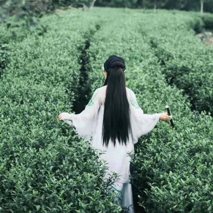 永川区东丹茶行
