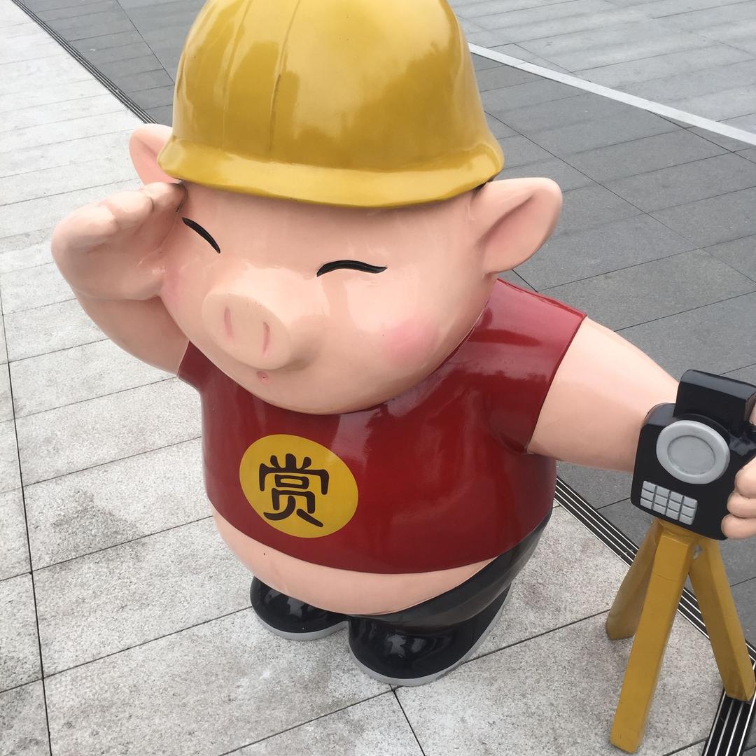 我❤️重庆             🦟