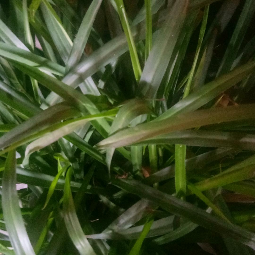 李辛庄村百姓舞台，欢迎大家的到来