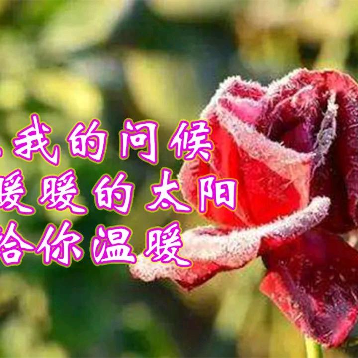 月亮