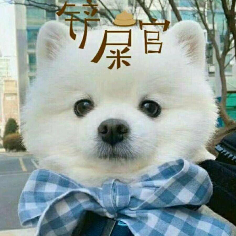 自由的奴隶