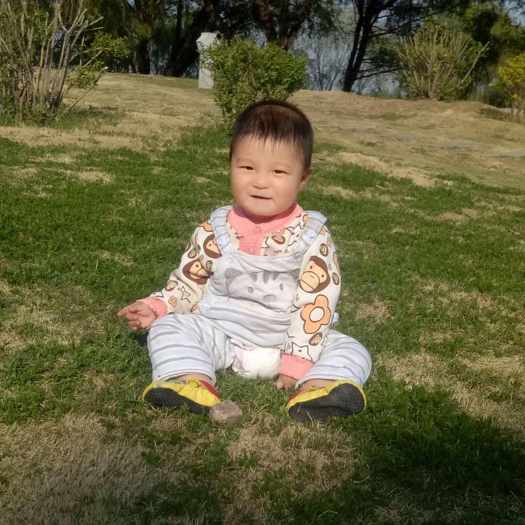 赵双红
