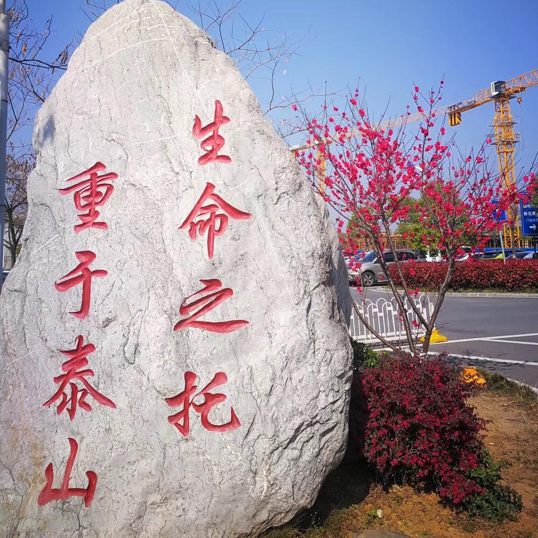 青黛