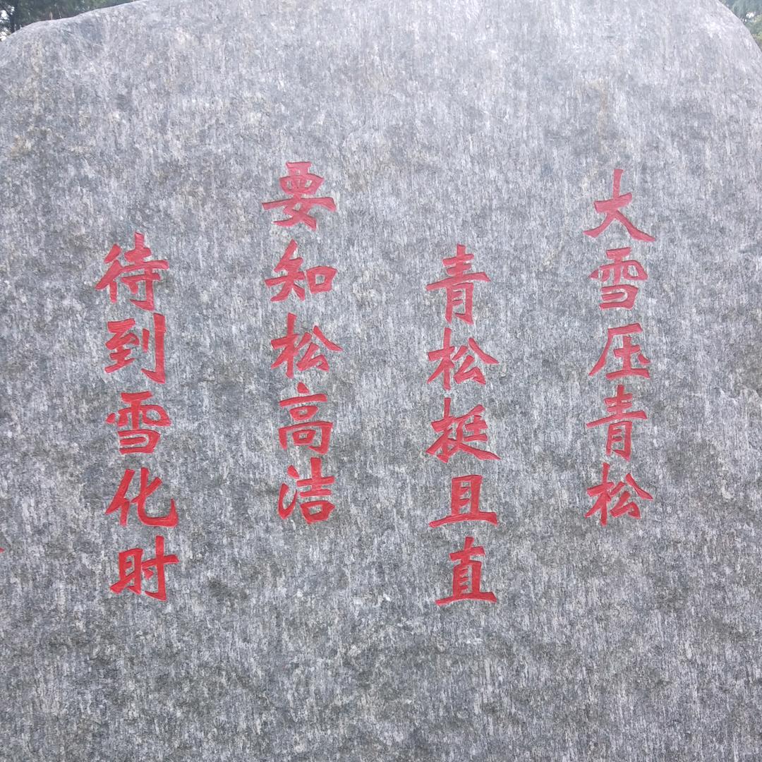 家有三郎头像