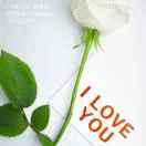 🚬浓烟💞伴酒꧔ꦿ᭄💤