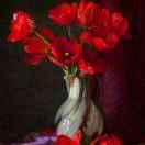 明哥哥，游来游去