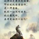 大慈山土猪肉