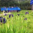 18798988949向巴0238