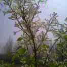 相信自己和明天