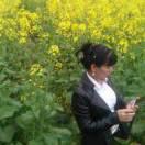 天天好心情3299997300671