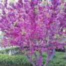 难得糊涂回收废品