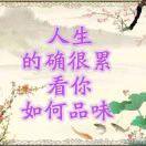 ❤️一切随缘🪷🪷🪷🪷🪷🪷