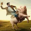 盛华饲料，肥超