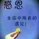 文轩阁
