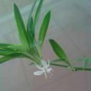 @孟丽娟～东城壹号院