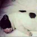 如皋市度星集装箱轻钢租售