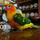 装饰air0套路兔兔兔兔兔兔兔兔