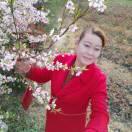 玫瑰花