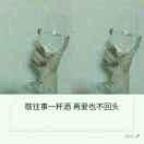 立羽而飞的我们